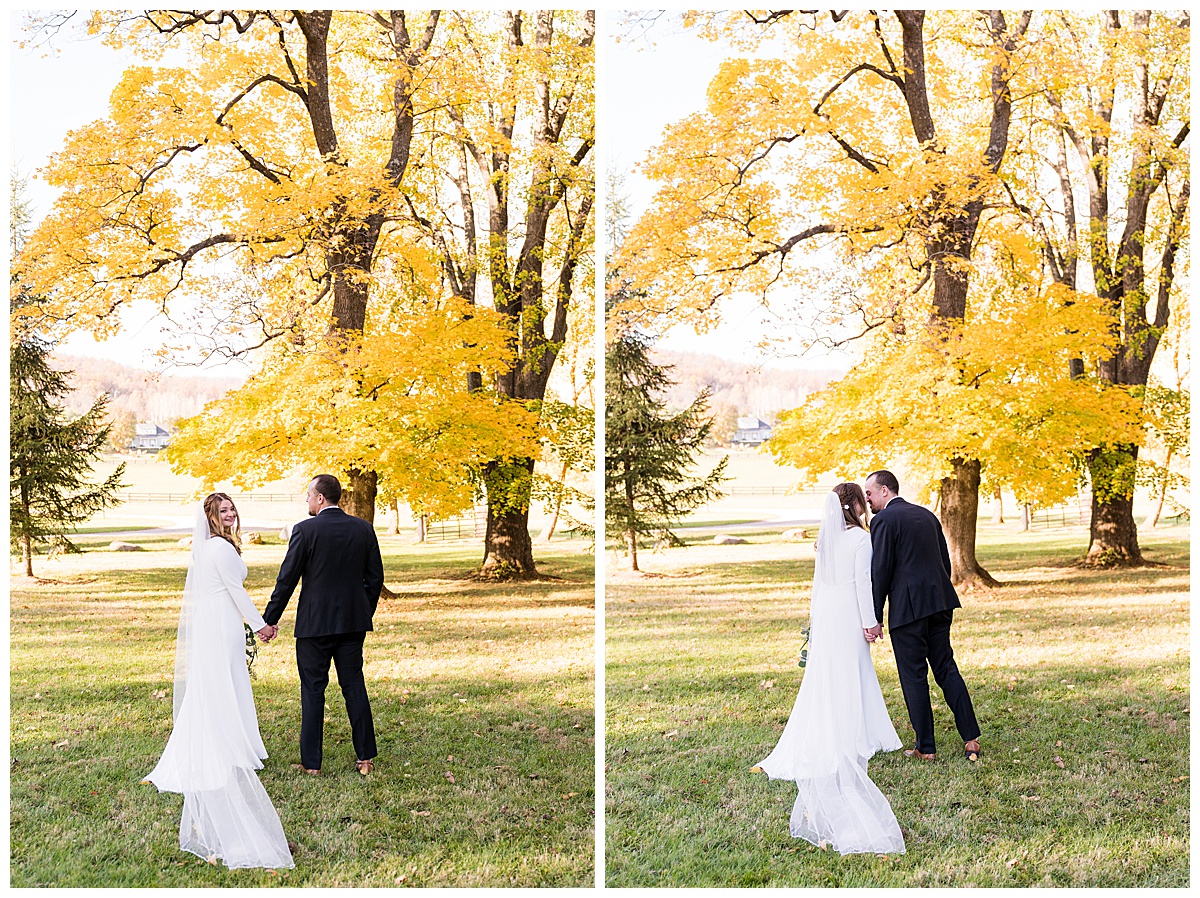 Stefanie Kamerman Photography - Brittany and Ryan - A White Hall Estate Wedding - Bluemont, Virginia_0032.jpg