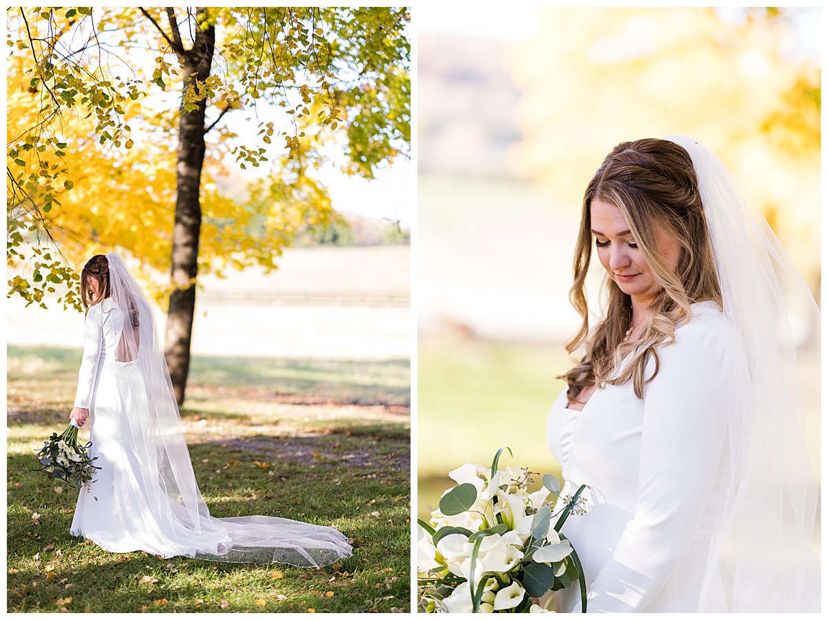 Stefanie Kamerman Photography - Brittany and Ryan - A White Hall Estate Wedding - Bluemont, Virginia_0041.jpg