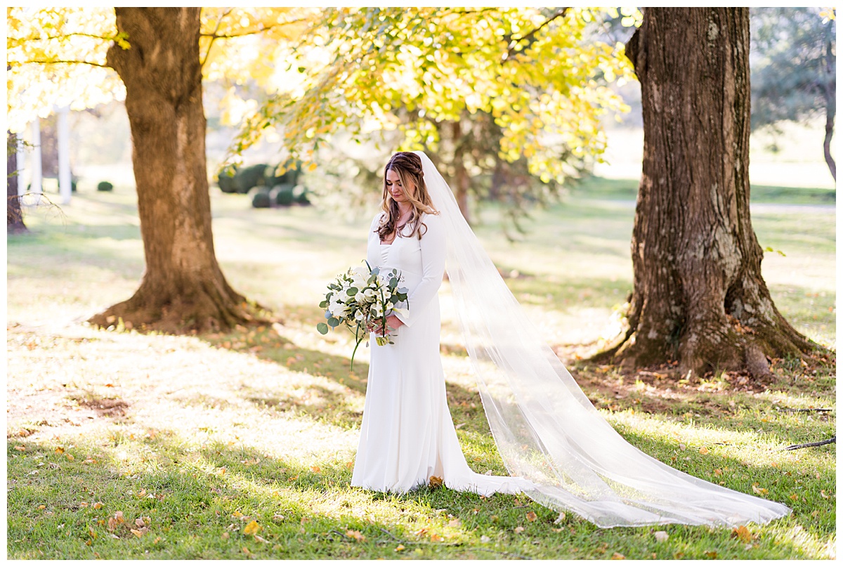 Stefanie Kamerman Photography - Brittany and Ryan - A White Hall Estate Wedding - Bluemont, Virginia_0042.jpg