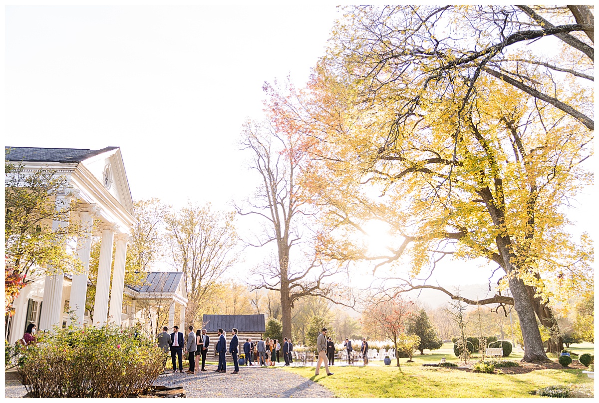 Stefanie Kamerman Photography - Brittany and Ryan - A White Hall Estate Wedding - Bluemont, Virginia_0065.jpg
